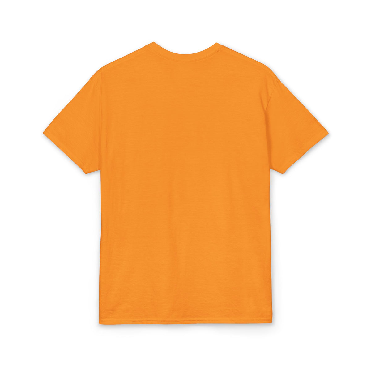 Bearded Dragon Sunset T-Shirt — Colorful Reptile Lover Tee